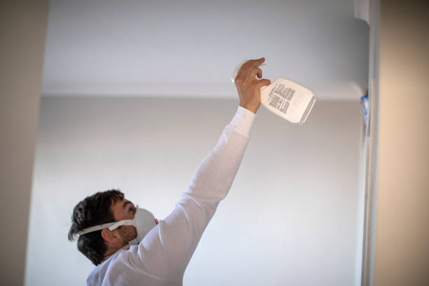 Best Affordable Mold Removal  in Beaufort, NC