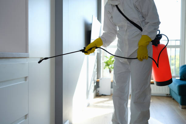 Best Crawl Space Mold Removal  in Beaufort, NC