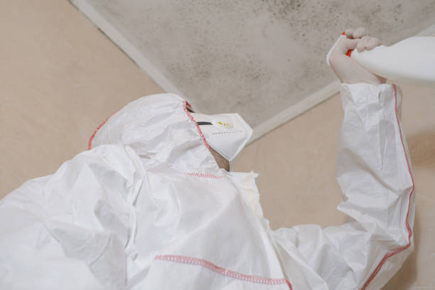 Beaufort, NC Mold Removal Company